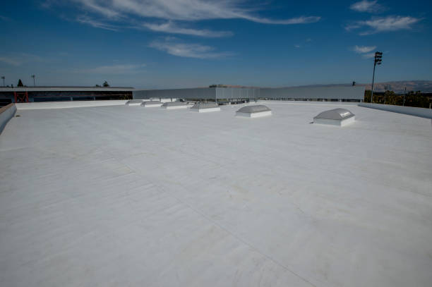 Best Roof Leak Repair  in Fruitland, NC